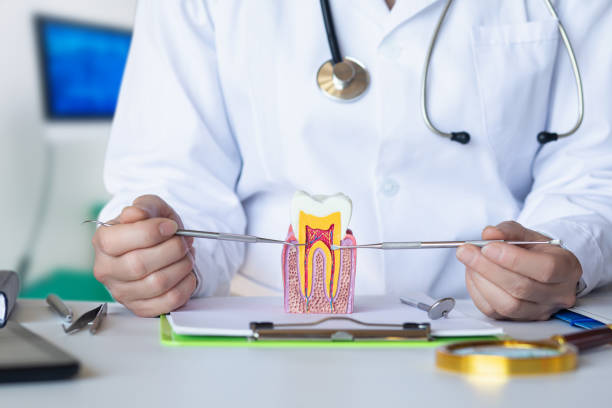 Best Emergency Dental Care for Trauma or Injury in Sparks, GA